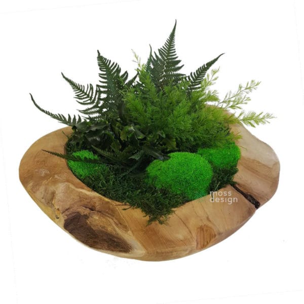 Teaková miska - rastliny a mach - 30cm