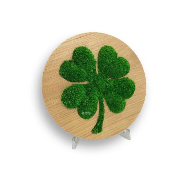 Kruhový štvorlístok - kopcovitý mach Bolmoss - dub