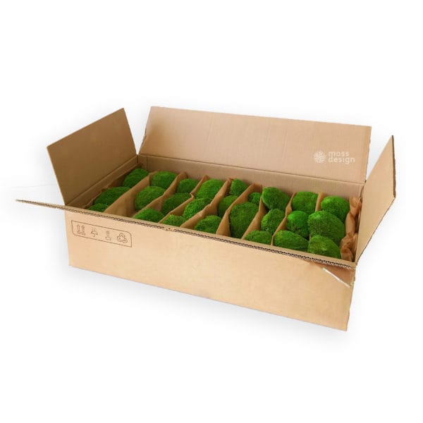 Stabilisiertes Hügelmoos Bolmoss - 0,8m2