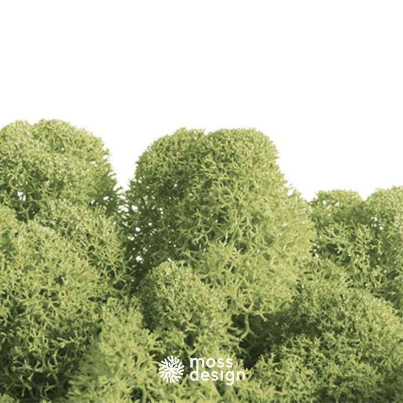 Pastelová zelená 66