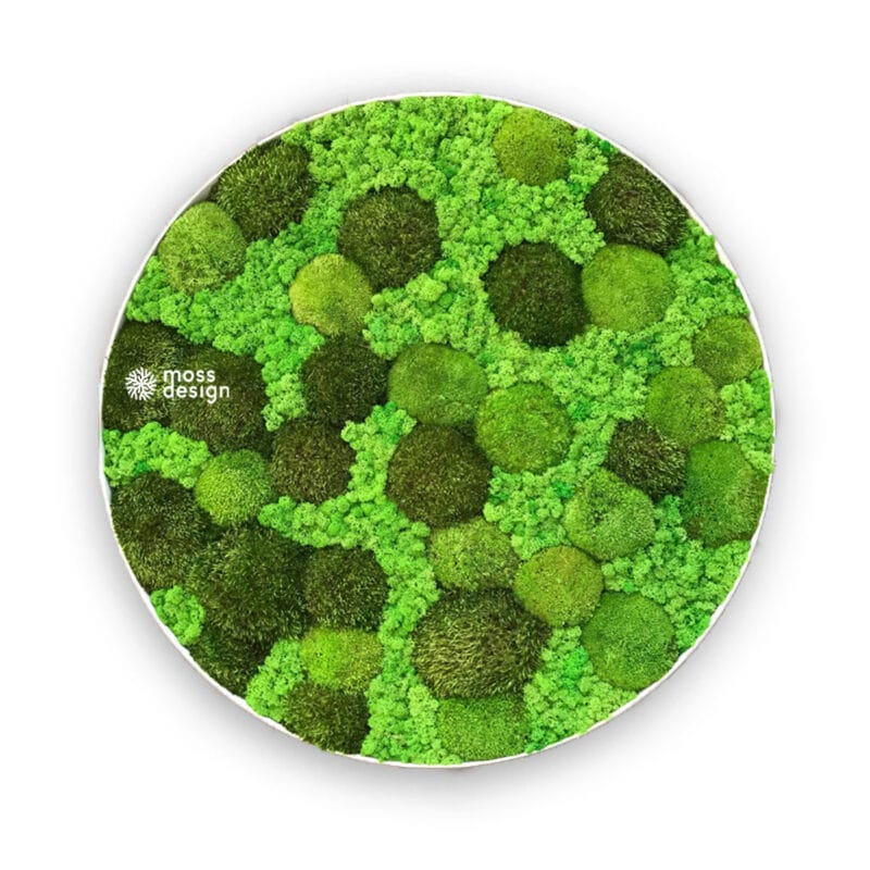Kreisförmige Moosmalerei POESY