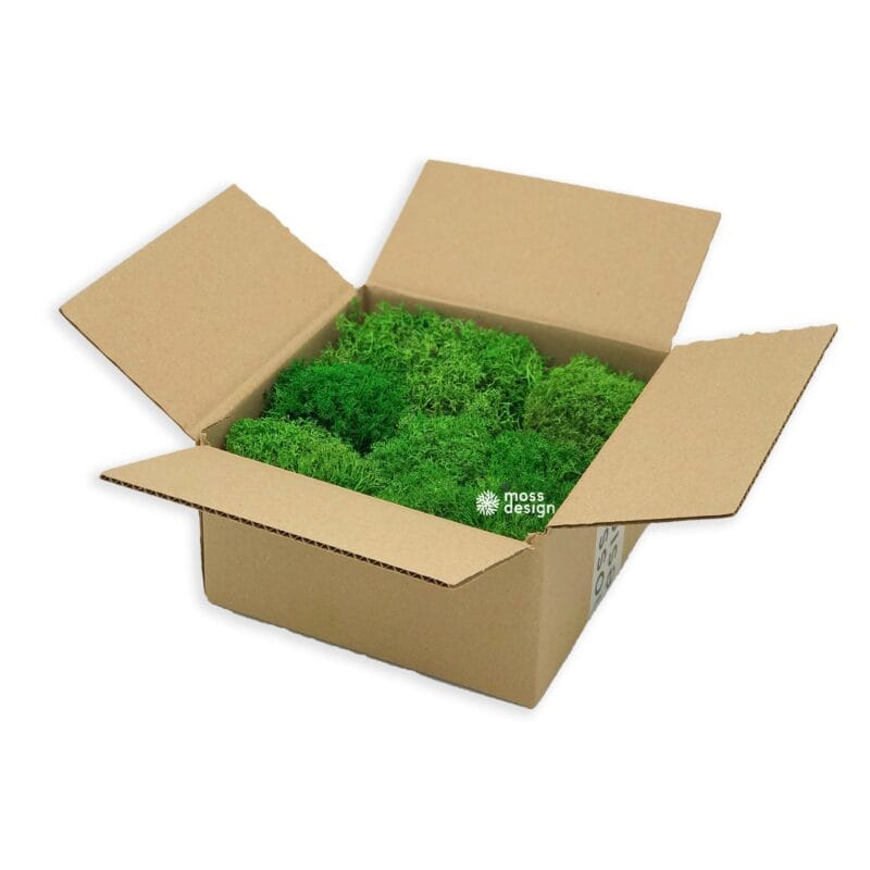 Kopcovitý lišajník 0,1m2