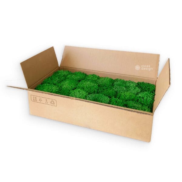 Kopcovitý lišajník 1m2