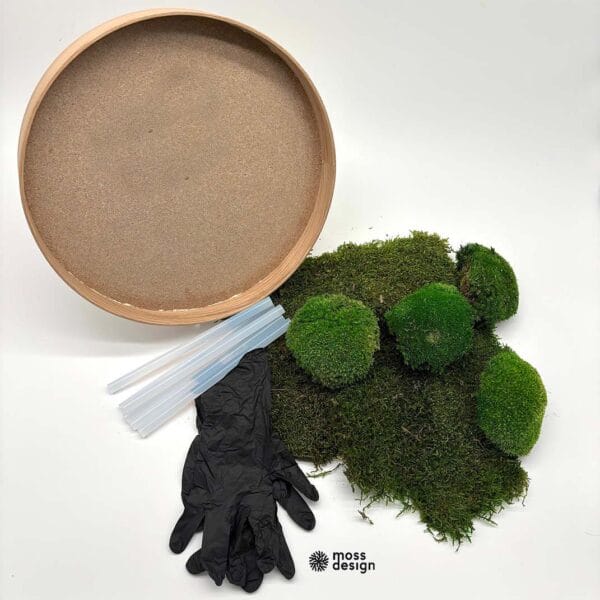 SET DIY - Kreisförmiges Moosbild von Kugelmoos und Flachmoos