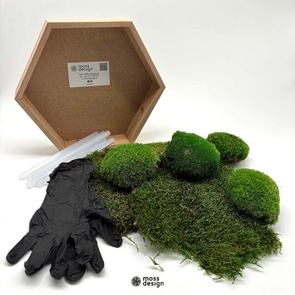 SET DIY - Sechseck - Kugelmoos und Flachmoos