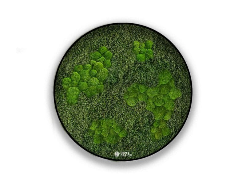 Terra kruhový machový obraz lesní a kopcovitý mach