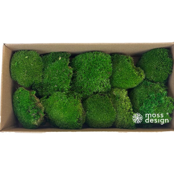 Stabilisiertes Kugelmoos - dunkel - 0,2m²