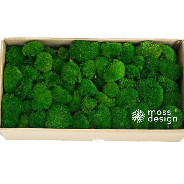 Stabilisiertes Kugelmoos - dunkel - 0,8m²