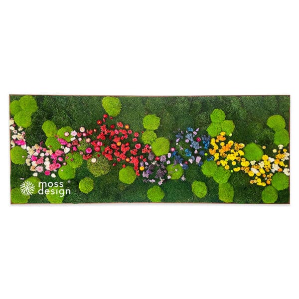 Quadratische Moosblumenbild MEADOW