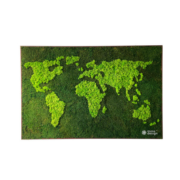 Mooskarte der Welt – Flechten und Waldmoos